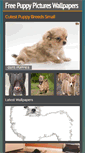 Mobile Screenshot of havanesepuppies.us