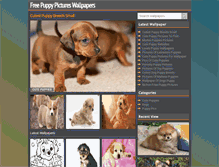 Tablet Screenshot of havanesepuppies.us