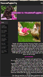 Mobile Screenshot of havanesepuppies.org