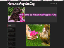 Tablet Screenshot of havanesepuppies.org